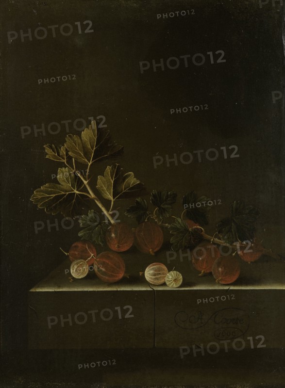 A Sprig of Gooseberries on a Stone Plinth, Adriaen Coorte, 1699