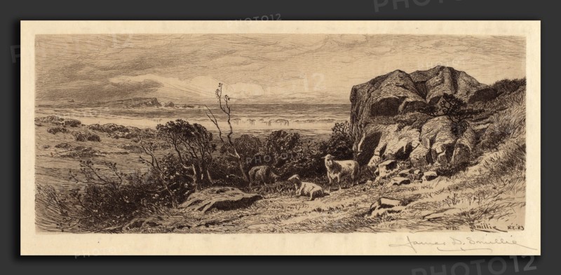 James David Smillie, At Marblehead Neck, American, 1833 - 1909, 1883, etching in black on wove paper