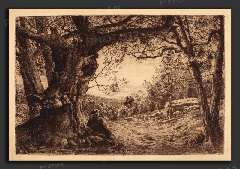 Henry Farrer, On The Hillside, American, 1843 - 1903, 1880, etching