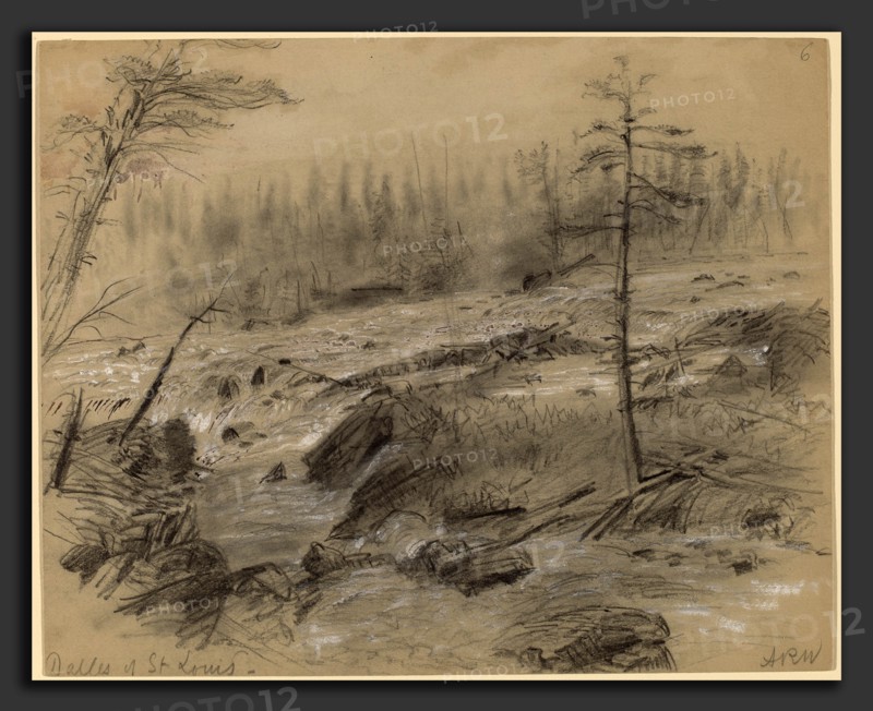 Alfred R. Waud, The Dalles of St. Louis, American, 1828 - 1891, graphite (stumping in areas) and pen and black  ink heightened with white