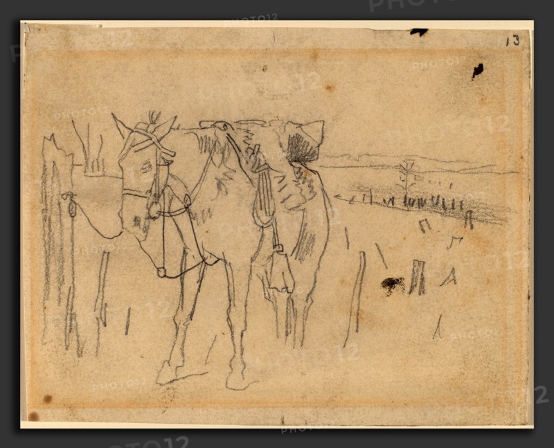 Winslow Homer, Tethered, American, 1836 - 1910, 1862-1865, graphite on wove paper