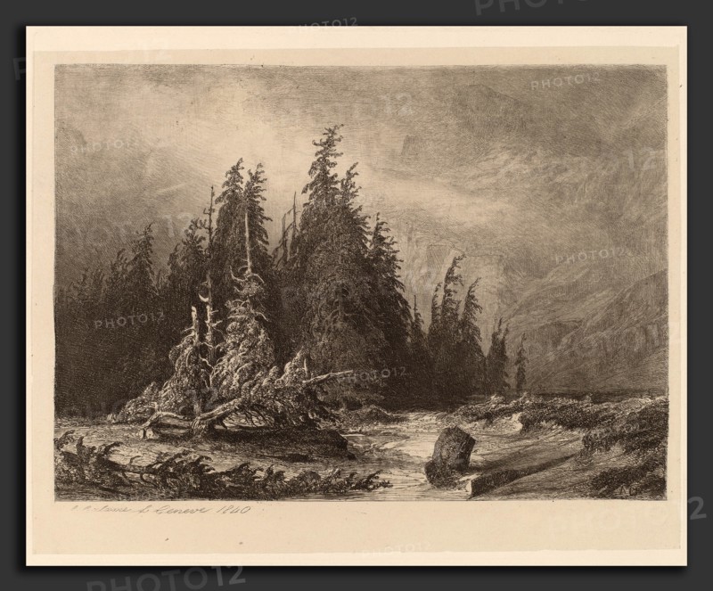 Alexandre Calame, Mountain PInes, Swiss, 1810 - 1864, 1840, etching on chine collé
