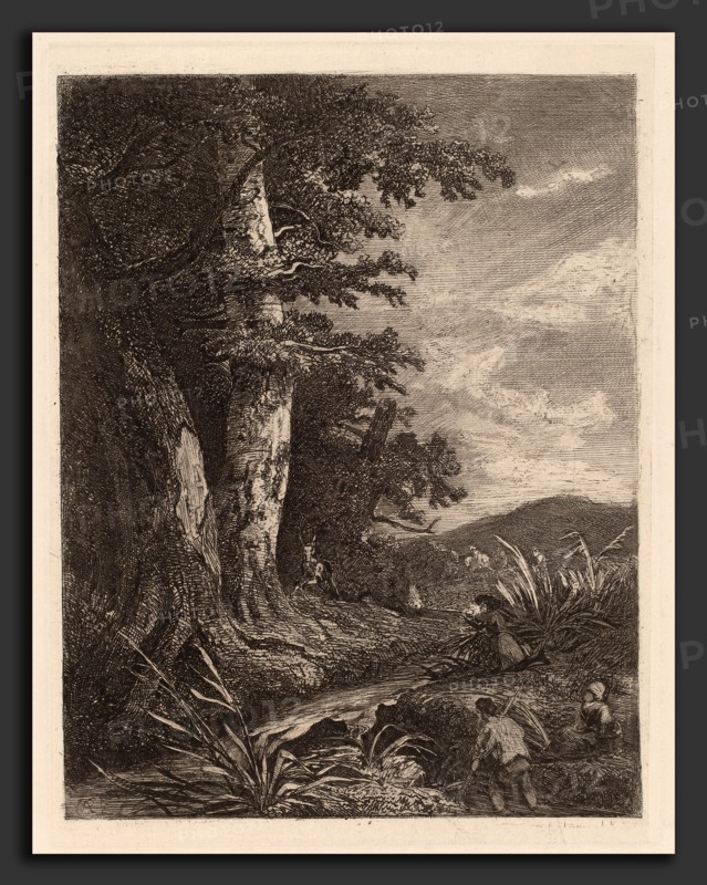 Alexandre Calame, Deer by a Stream, Swiss, 1810 - 1864, 1838, etching on chine collé