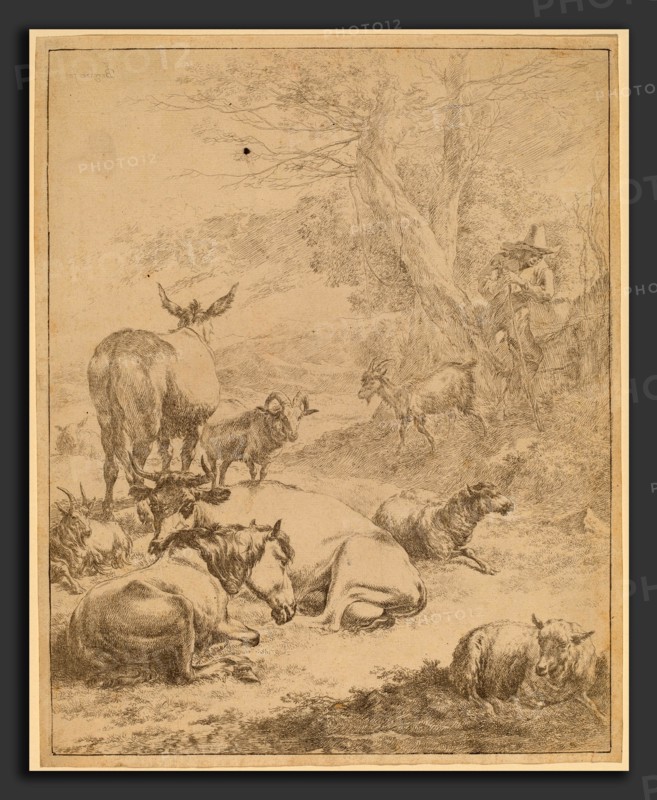 Nicolaes Pietersz Berchem (Dutch, 1620 - 1683), Resting Herd, etching counterproof