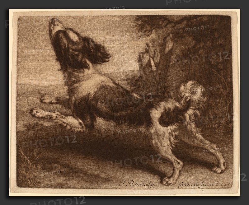 Jan Verkolje I (Dutch, 1650 - 1693), A Spaniel Jumping, 1680, mezzotint on laid paper