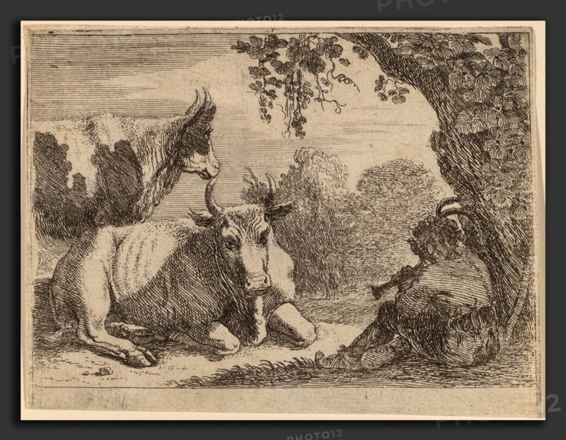 Herman van Swanevelt (Dutch, c. 1600 - 1655), Cows, etching