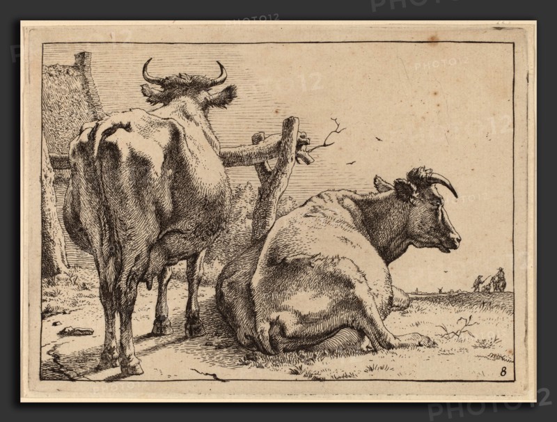 Paulus Potter (Dutch, 1625 - 1654), Two Cows Seen from Behind, 1650, etching