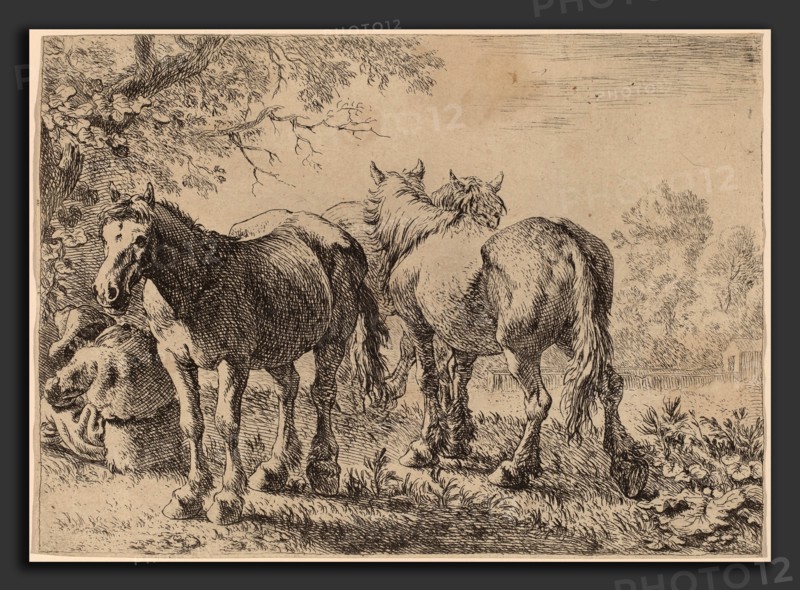 Pieter van Laer (Dutch, c. 1592 - 1642), Three Horses in a Field, 1636, etching and engraving on laid paper