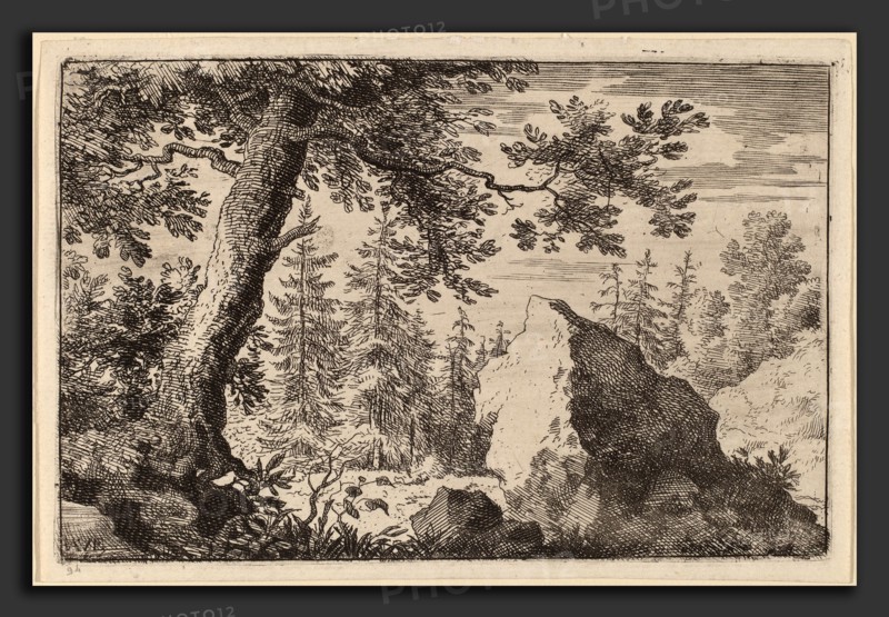 Allart van Everdingen (Dutch, 1621 - 1675), Boulder in the Woods, probably c. 1645-1656, etching with engraving and drypoint