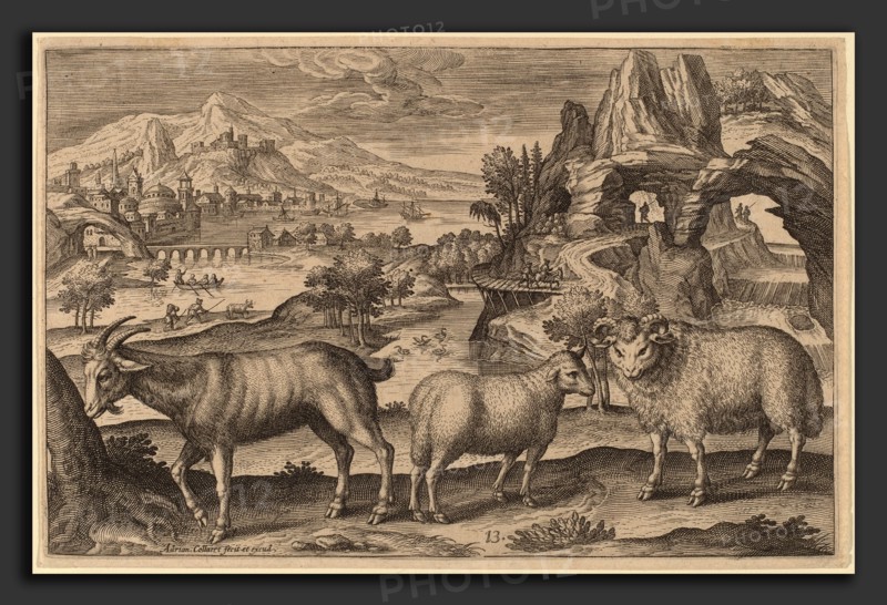 Adriaen Collaert (Flemish, c. 1560 - 1618), Animalium Quadrupedum, engraving