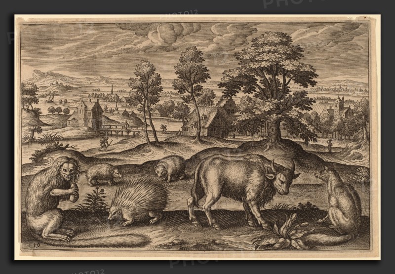Adriaen Collaert (Flemish, c. 1560 - 1618), Animalium Quadrupedum, engraving