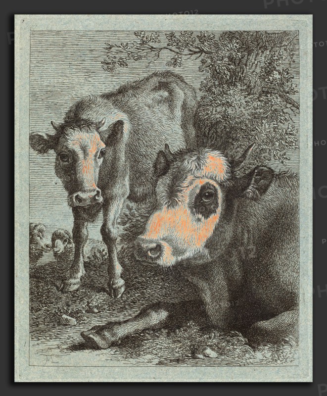 Francesco Londonio (Italian, 1723 - 1783), Reclining Cow and Calf in the Open, 1758-1759, etching heightened with white gouache on blue paper