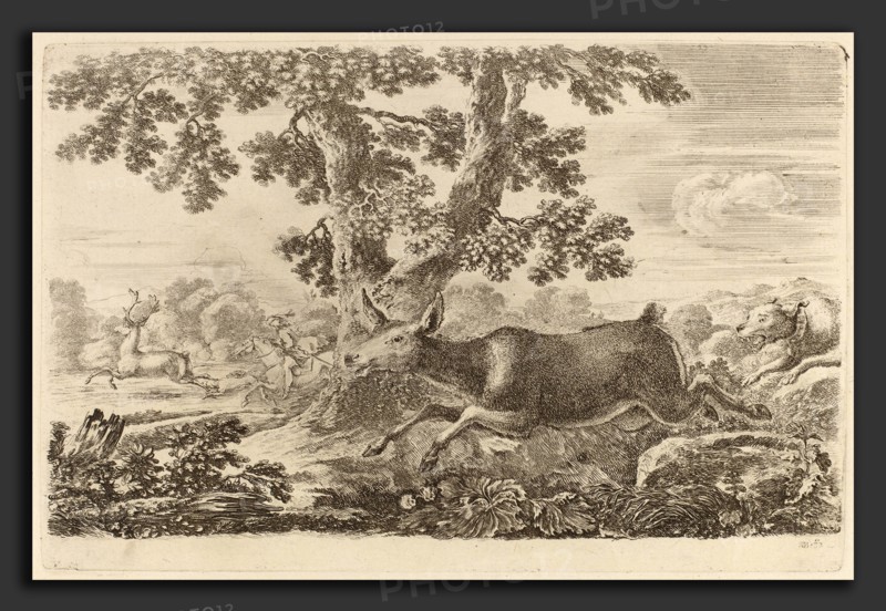 Stefano Della Bella (Italian, 1610 - 1664), Deer Chased by a Dog to the Right, etching on laid paper [restrike]