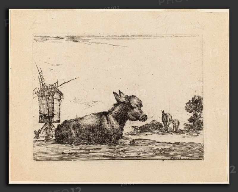Stefano Della Bella (Italian, 1610 - 1664), Donkey Resting, 1642, etching