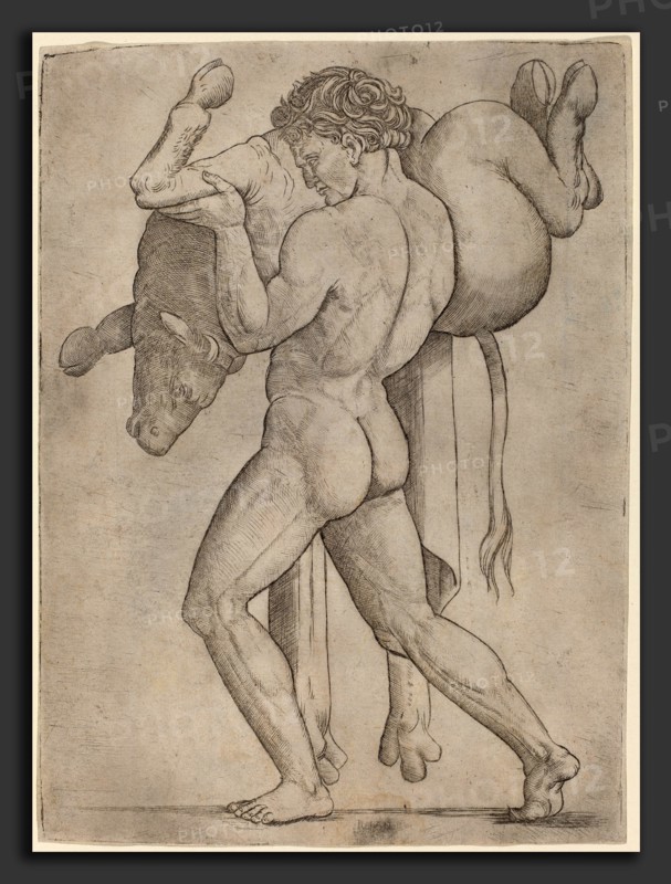 Giovanni Antonio da Brescia (Italian, active c. 1490 - 1525 or after), Hercules and the Cretan Bull, c. 1514-1515, engraving