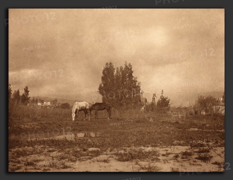 William B. Post (American, 1857 - 1921), Pasadena Landscape, 1899, photogravure in sepia mounted on gray wove paper