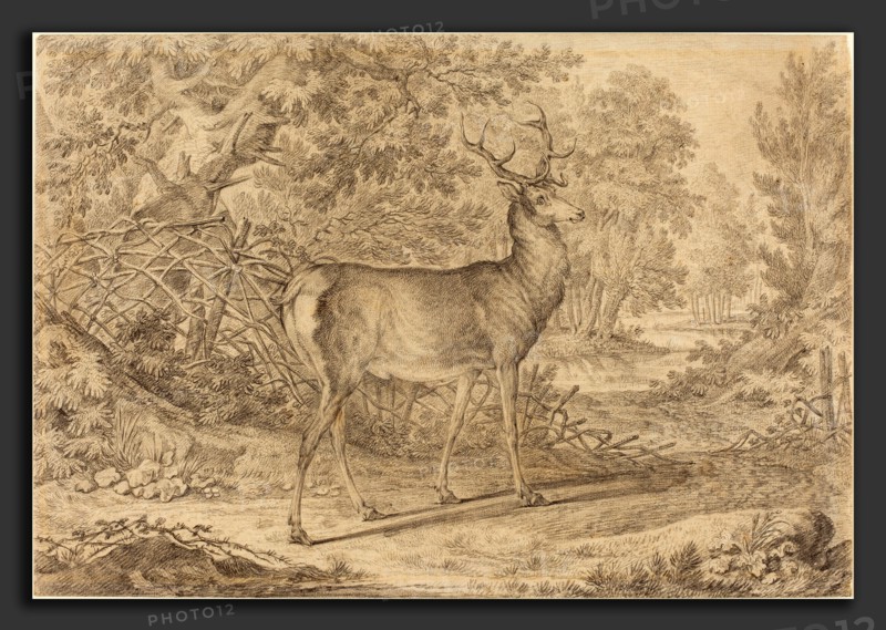 Johann Elias Ridinger (German, 1698 - 1767), A Splendid Young Stag before a Wattle Fence, 1736, graphite and gray wash on laid paper