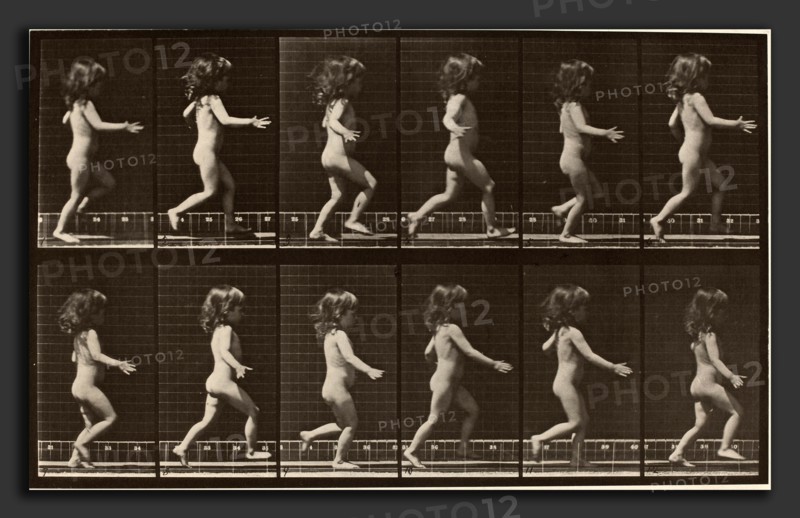 Eadweard Muybridge (American, born England, 1830 - 1904), Animal Locomotion, Plate 469, 1887, collotype
