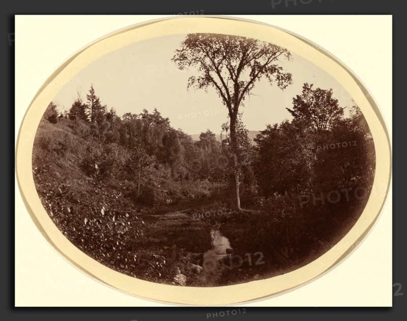 George K. Warren (American, 1824 or 1834 - 1884), Landscape near Williams College, c. 1870, albumen print