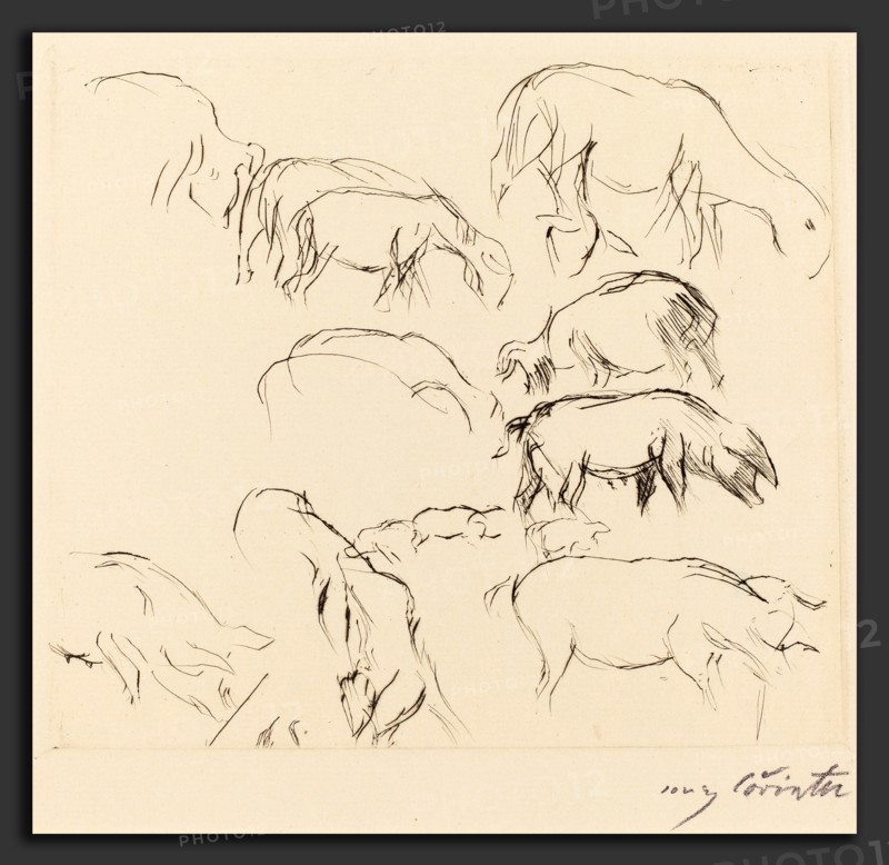 Lovis Corinth, Animal Studies (Verschiedene Tierstudien), German, 1858 - 1925, 1917, drypoint in black on laid paper