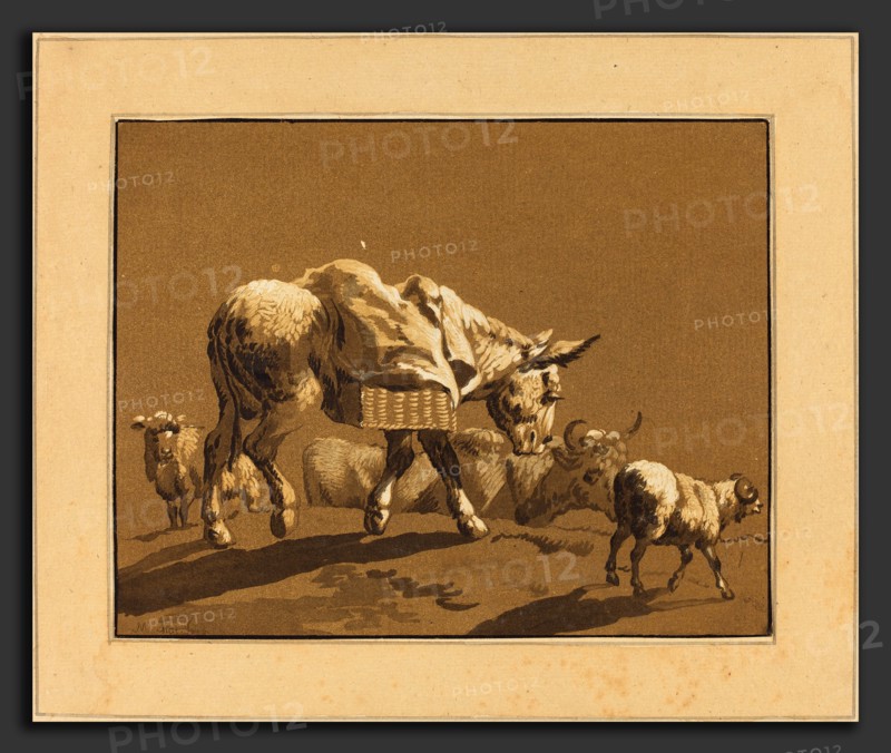 Johann Gottlieb Prestel after Joseph Wagner (German, 1739 - 1808), Donkey, published 1782, 4-color aquatint