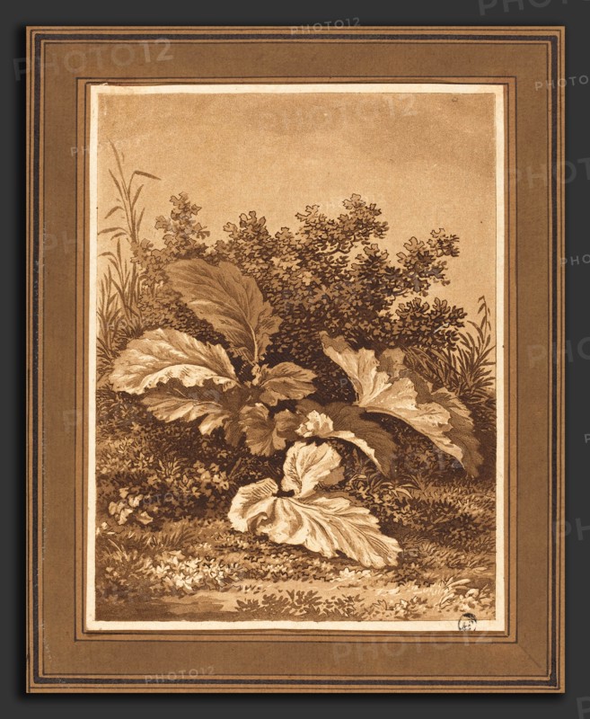 Christian August GÃ¼nther (German, 1759 - 1824), A Study of Leaves, c. 1796, aquatint and etching in brown on wove paper