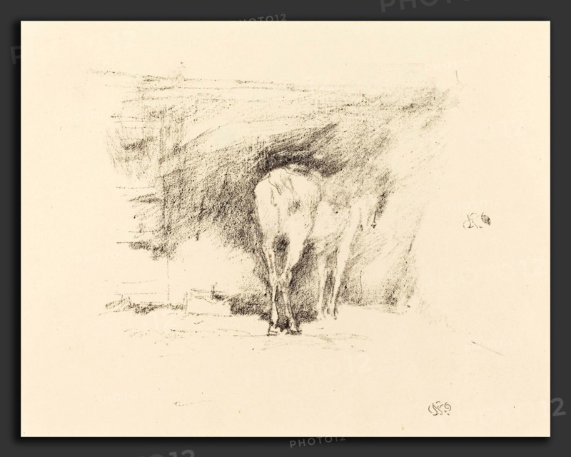 James McNeill Whistler (American, 1834 - 1903), Study of a Horse, 1895, lithograph