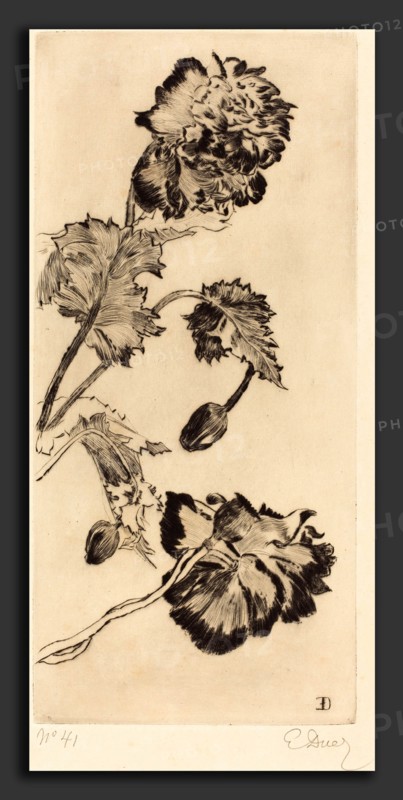 Ernest-Ange Duez (French, 1843 - 1896), Flowers (Fleurs), 1894, drypoint on laid paper