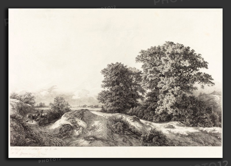 EugÃ¨ne Bléry (French, 1805 - 1887), Oaks in the Vaux de Cernay, 1840, etching on chine collé (proof)