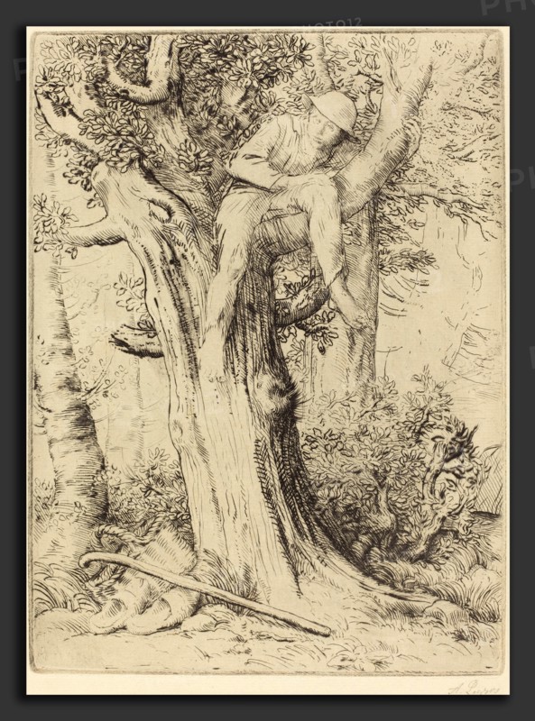 Alphonse Legros, Landscape with a Boy in a Tree (Paysage avec un garcon gimpe sur un arbre dite "Le denicher d'oiseaux), French, 1837 - 1911, etching and drypoint on light green paper