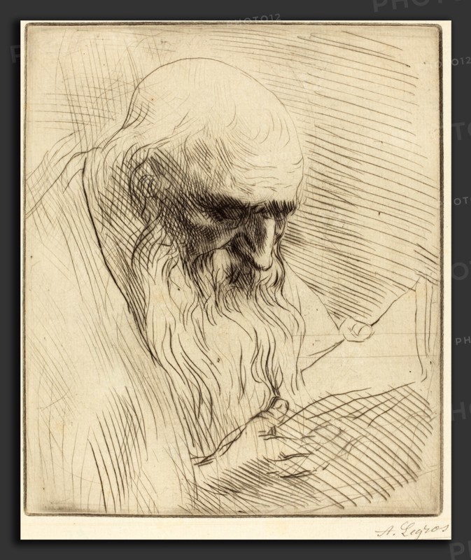 Alphonse Legros, Study of the Head of a Man Reading (Etude de tete d'homme lisant), French, 1837 - 1911, etching