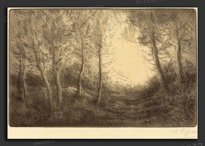 Alphonse Legros, Sunrise, Woods of Clamard (Lever du soleil, bois de Clamard), French, 1837 - 1911, drypoint
