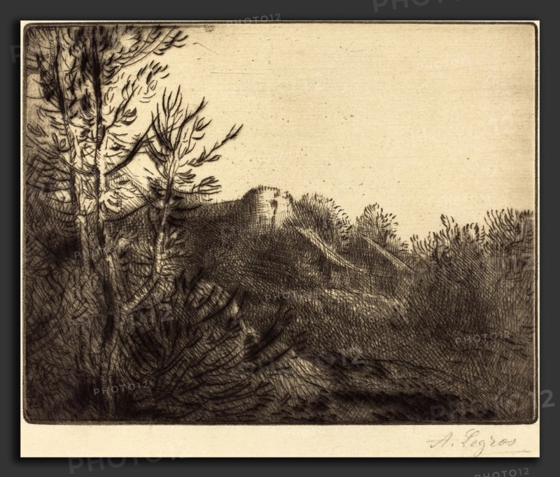 Alphonse Legros, View of a Farm (La ferme de Valoux), French, 1837 - 1911, etching and drypoint