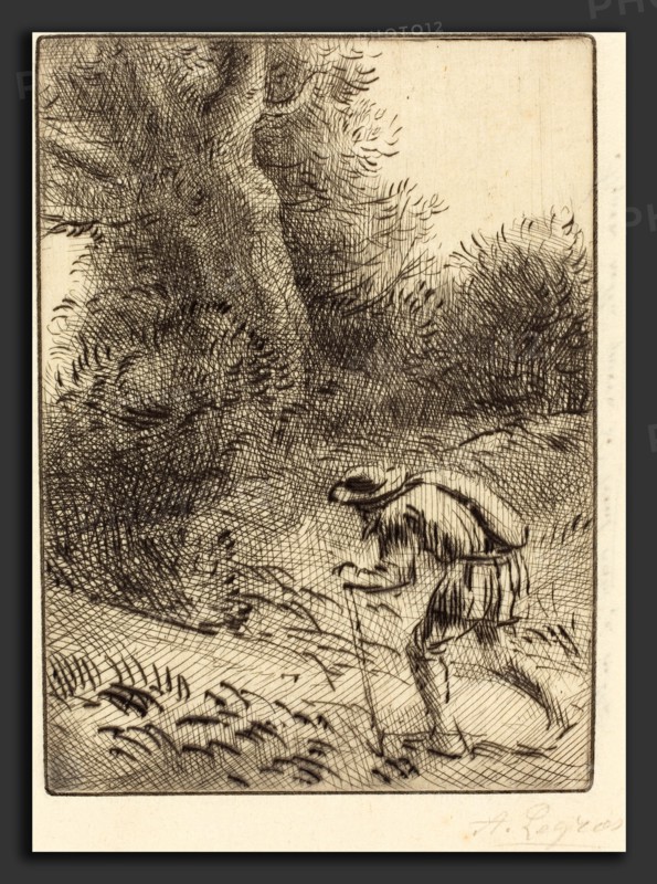 Alphonse Legros, Little Wandering Jew (Le petit juif errant), French, 1837 - 1911, etching and drypoint