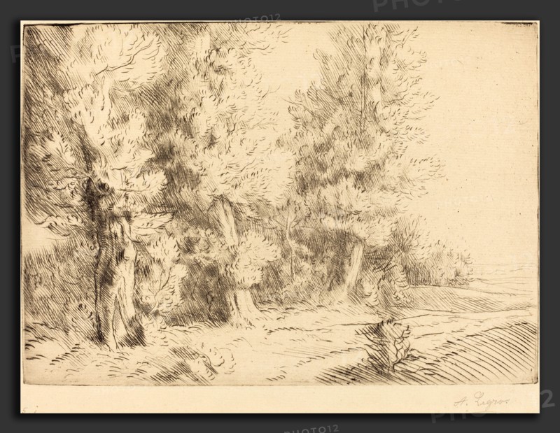 Alphonse Legros, In the Forest of Fontainebleau  (Dans la foret de Fontainebleau), French, 1837 - 1911, etching and drypoint