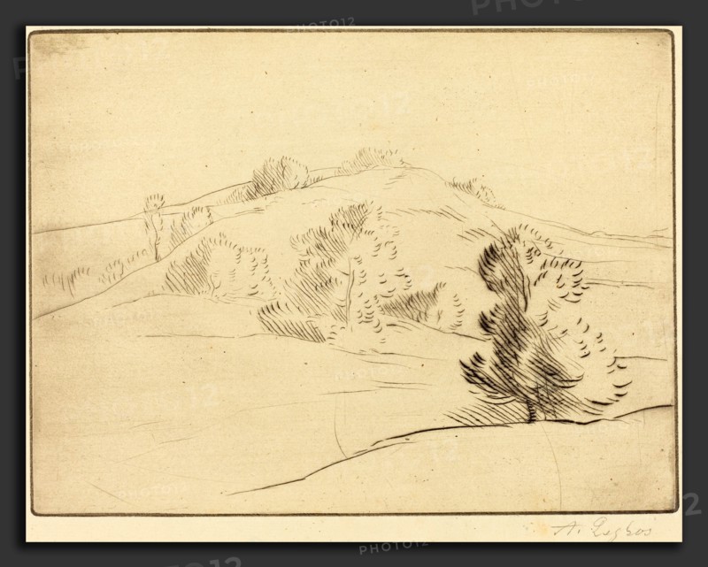 Alphonse Legros, Small Hill (Le coteau), French, 1837 - 1911, etching