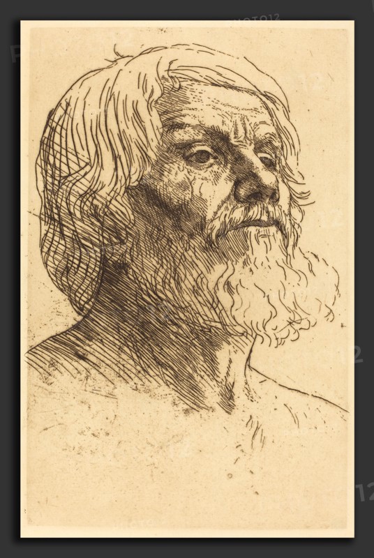 Alphonse Legros, Head of a Man (Tete d'homme), French, 1837 - 1911, etching