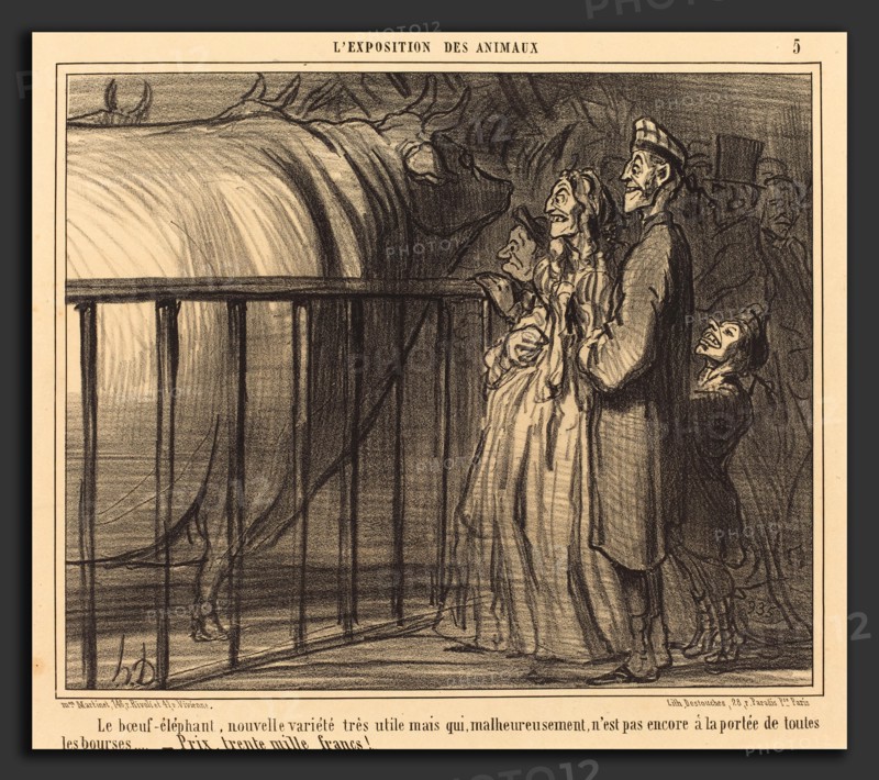 Honoré Daumier (French, 1808 - 1879), Le Boeuf-éléphant nouvelle variété, 1856, lithograph