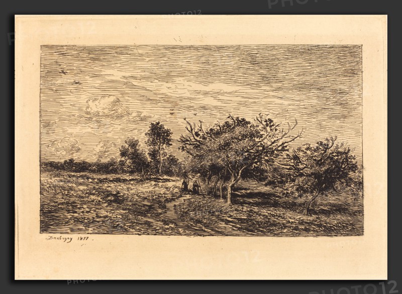 Charles-FranÃ§ois Daubigny (French, 1817 - 1878), Apple Trees in Auvers (Pommiers a Auvers), 1877, etching