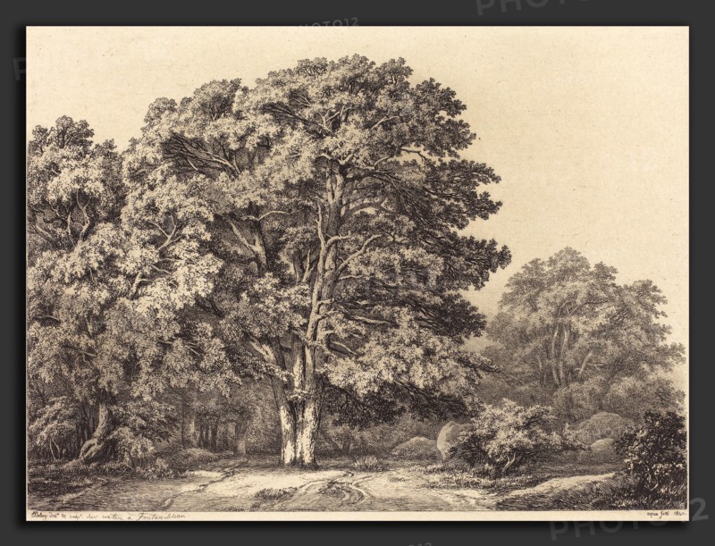 EugÃ¨ne Bléry (French, 1805 - 1887), Entrance to a Forest, 1840, etching with drypoint and roulette on chine collé