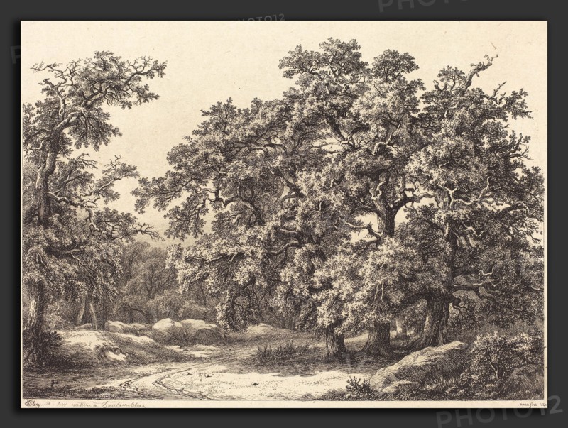 EugÃ¨ne Bléry (French, 1805 - 1887), Oaks, 1840, etching with drypoint and roulette on chine collé