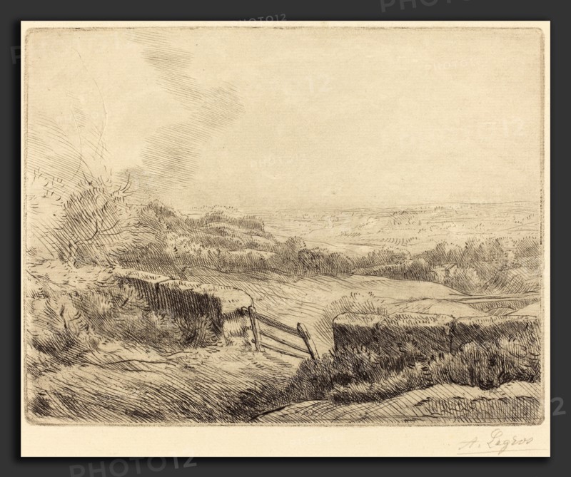 Alphonse Legros, The Gate (L'entree du champ), French, 1837 - 1911, drypoint and etching?