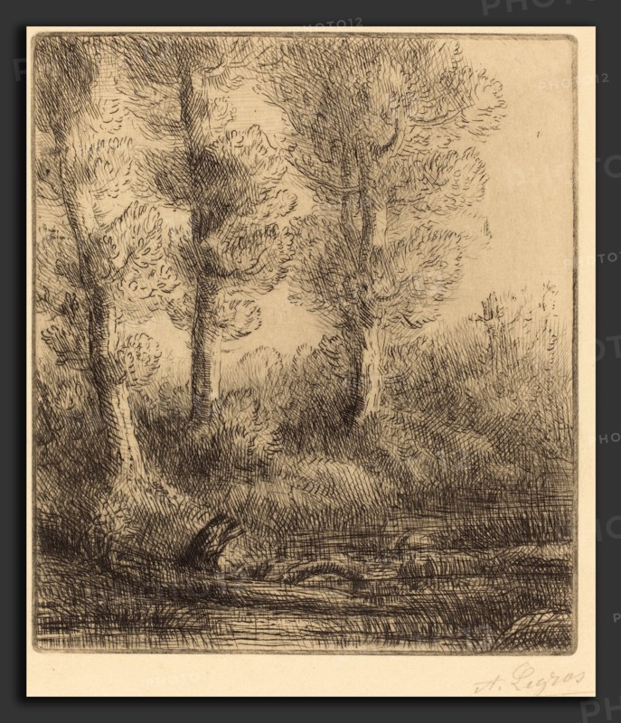 Alphonse Legros, Banks of the Saint-Pre (Rive du Saint-Pre), French, 1837 - 1911, etching