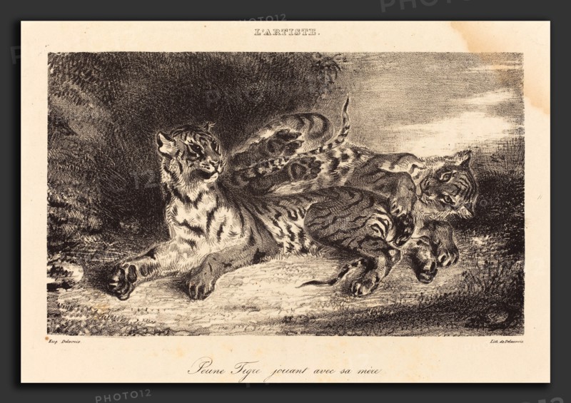 EugÃ¨ne Delacroix (French, 1798 - 1863), Young Tiger Playing with its Mother (Jeune tigre jouant avec sa mÃ¨re), 1831, lithograph