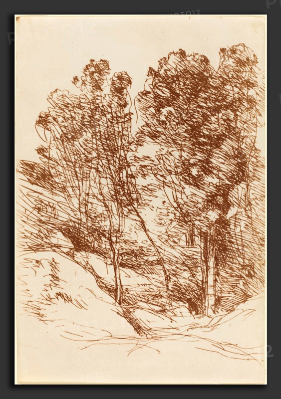 Jean-Baptiste-Camille Corot (French, 1796 - 1875), Souvenir of the Sole Valley (Souvenir de la Vallee de la Sole), 1871, cliche-verre