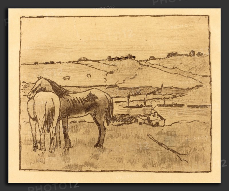 Edgar Degas (French, 1834 - 1917), Horses in the Meadow (Chevaux dans la prairie), c. 1891-1892, soft-ground etching