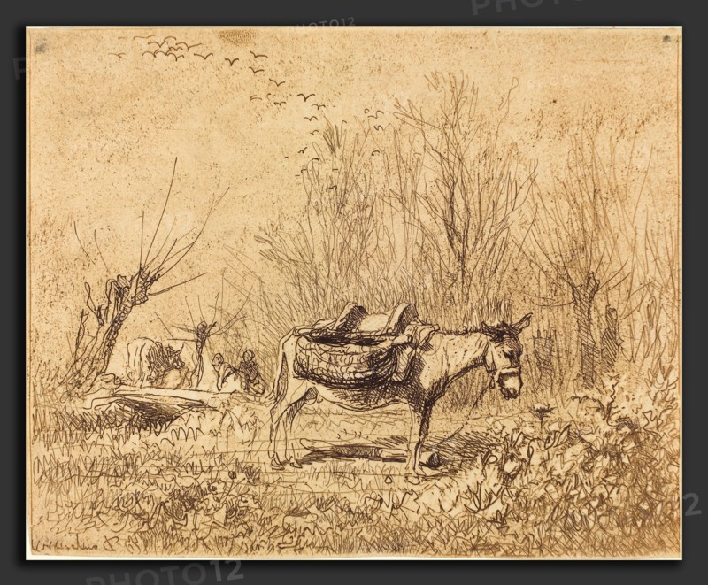 Charles-FranÃ§ois Daubigny (French, 1817 - 1878), Donkey in a Field (L'Ane au pre), 1862, cliche-verre