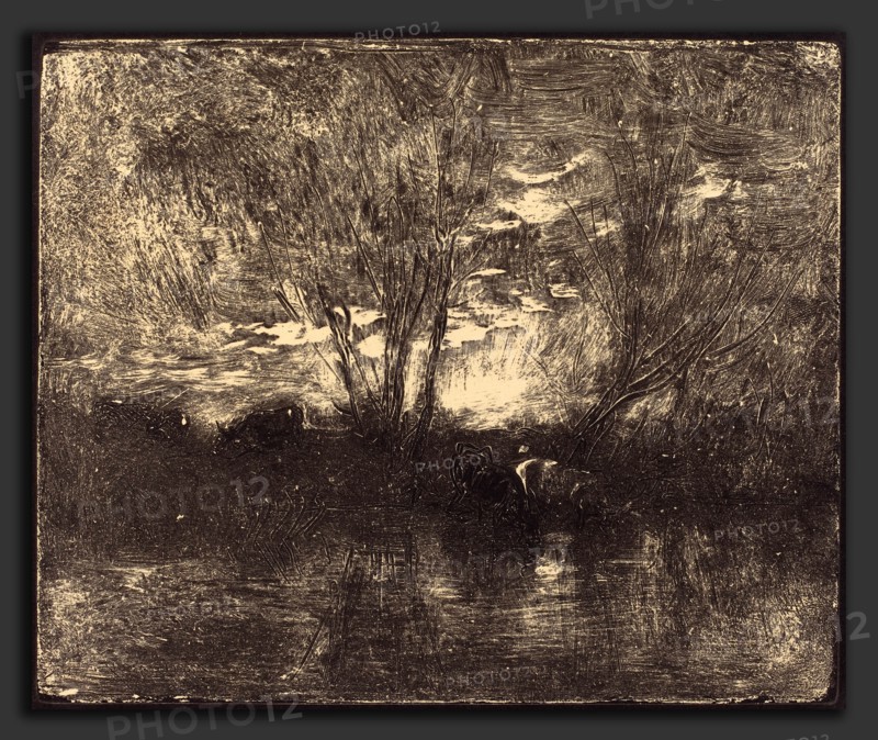 Charles-FranÃ§ois Daubigny (French, 1817 - 1878), Cows at a Watering Place (Vaches a l'abreuvoir), 1862, cliche-verre