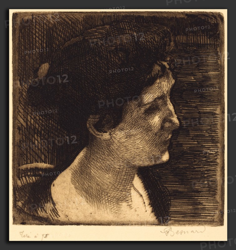 Albert Besnard (French, 1849 - 1934), Woman in Full Profile (Grand profil de femme), 1892, etching in brown-black on cream laid paper