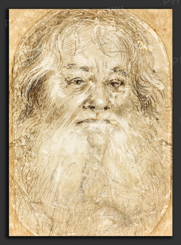 Hans Holbein the Elder (German, c. 1465 - 1524), Study of a Bearded Man, c. 1508-1510, silverpoint and black chalk heightened with white on white prepared paper